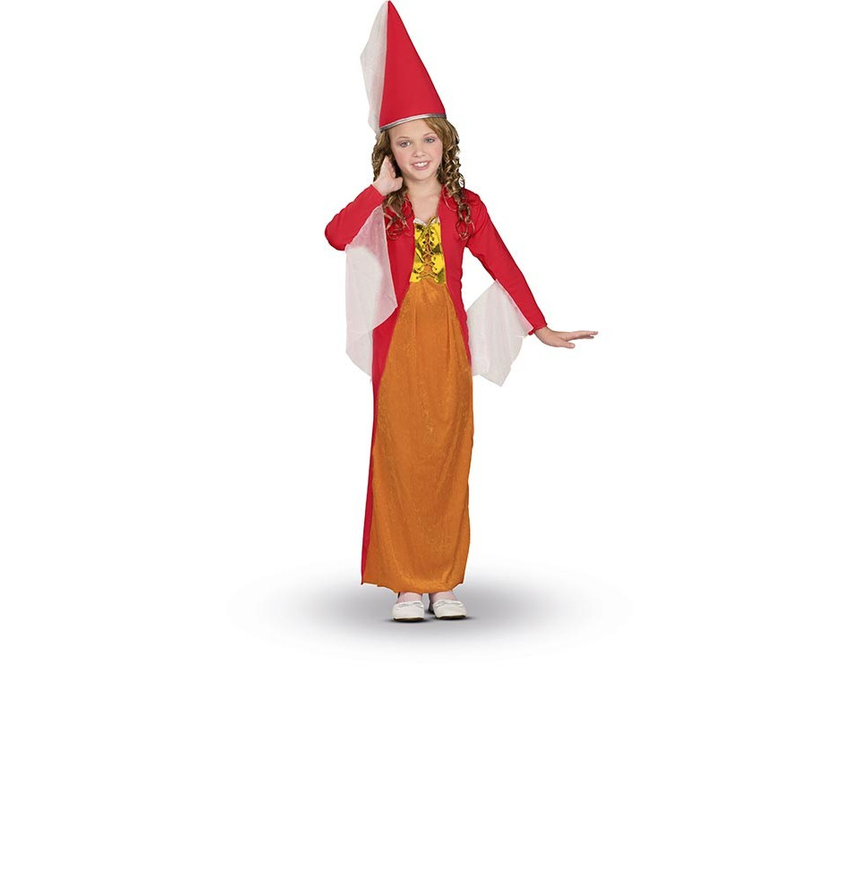 Costume de princesse 