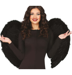 Ailes de plumes noires...