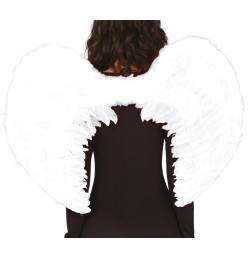 Ailes de plumes blanches...